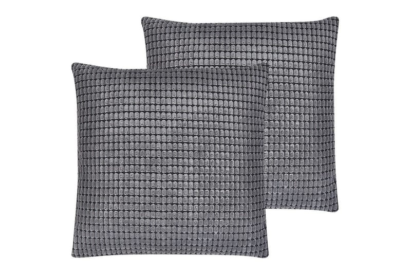 Pynteputer Aspidistra sett med 2