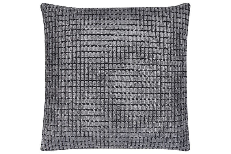 Pynteputer Aspidistra sett med 2 - Tekstiler & tepper - Pute & putetrekk - Pynteputer