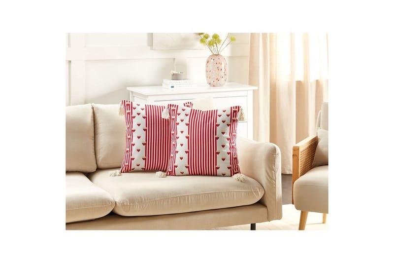 Pynteputer Banksia sett med 2 - Tekstiler & tepper - Pute & putetrekk - Pynteputer