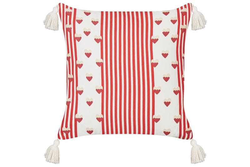 Pynteputer Banksia sett med 2 - Tekstiler & tepper - Pute & putetrekk - Pynteputer