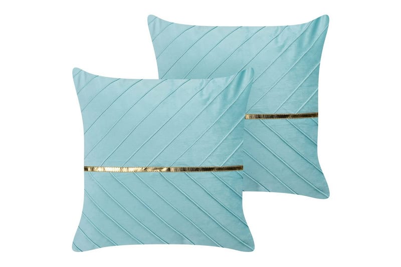 Pynteputer Coneflower sett á 2