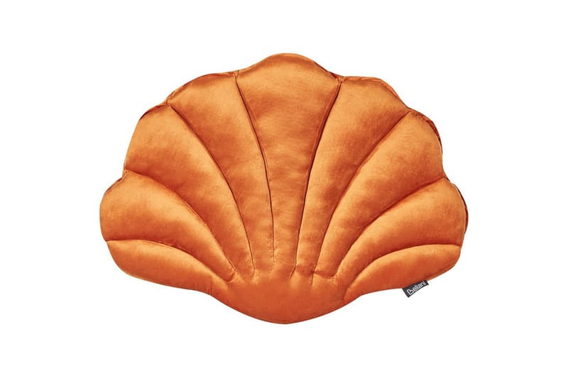 Pynteputer Consolida Oransje, Oransje