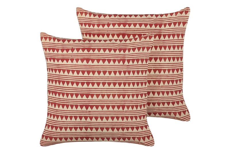 Pynteputer Deglupta sett av 2