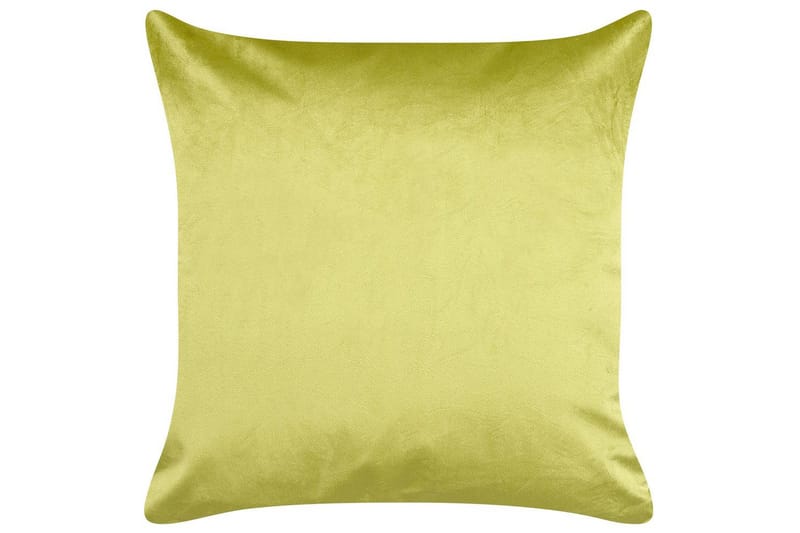 Pynteputer Deliciosa sett med 2 Lysegrønn/gull - Lysegrønn/gull - Tekstiler & tepper - Pute & putetrekk - Pynteputer