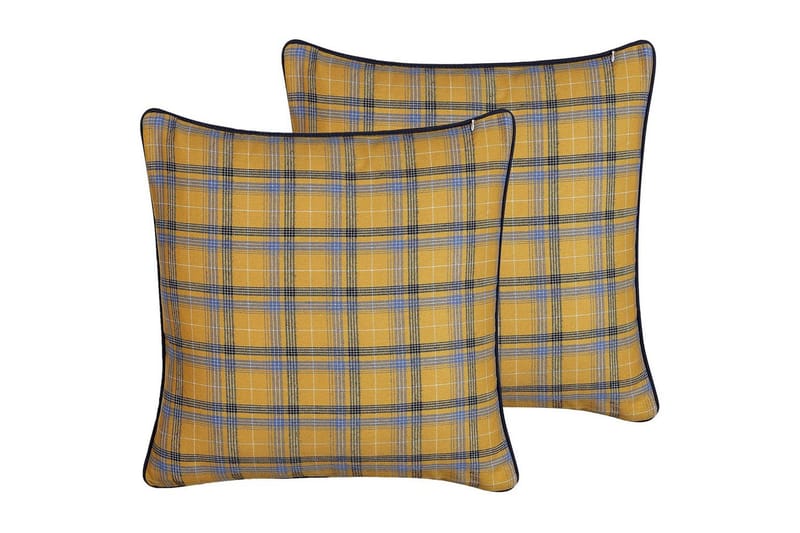 Pynteputer Dicentra sett av 2