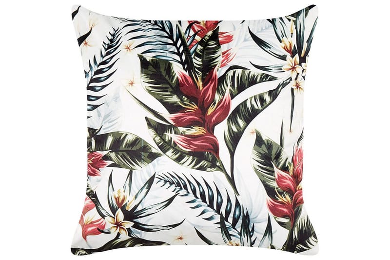 Pynteputer Edelweiss