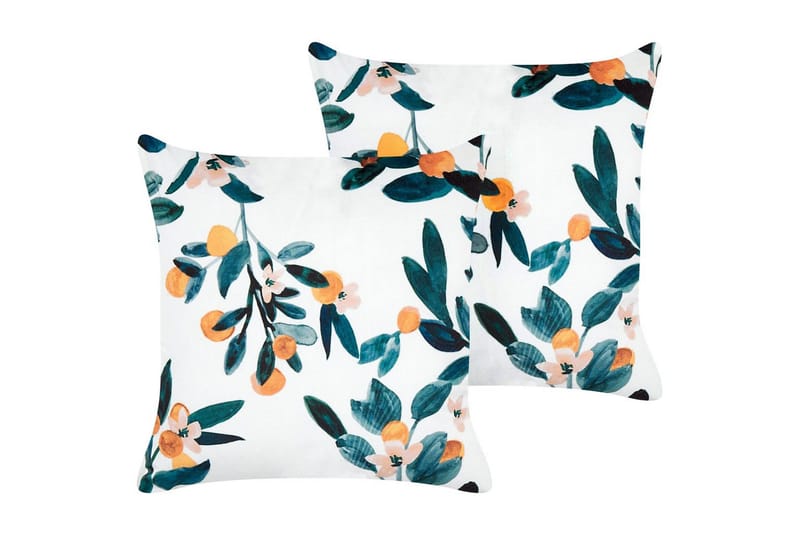 Pynteputer Knautia sett av 2