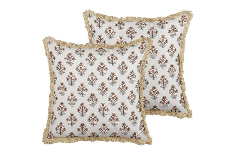 Pynteputer Omorika sett med 2