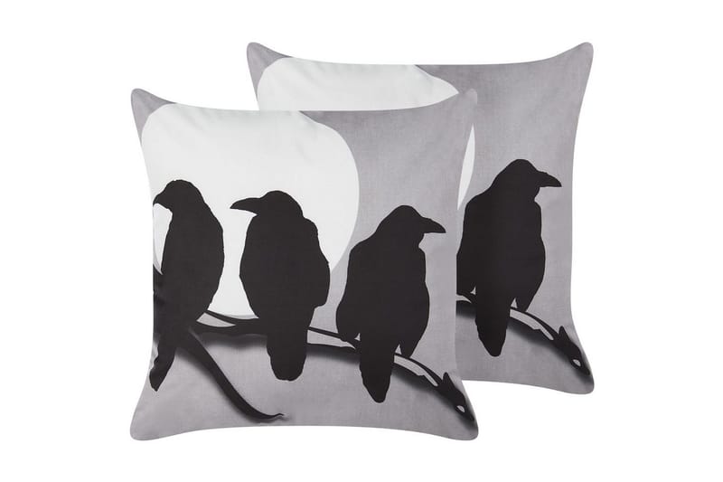 Pynteputer Oradea sett av 2