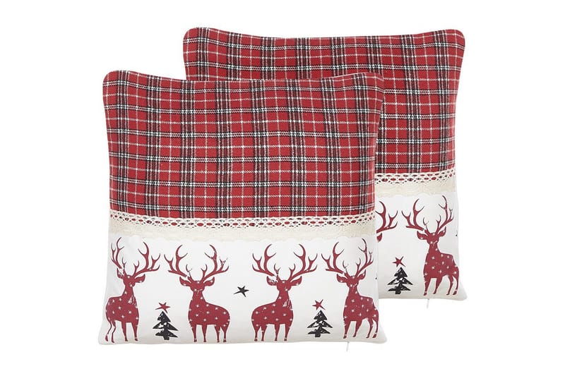 Pynteputer Robbie sett med 2