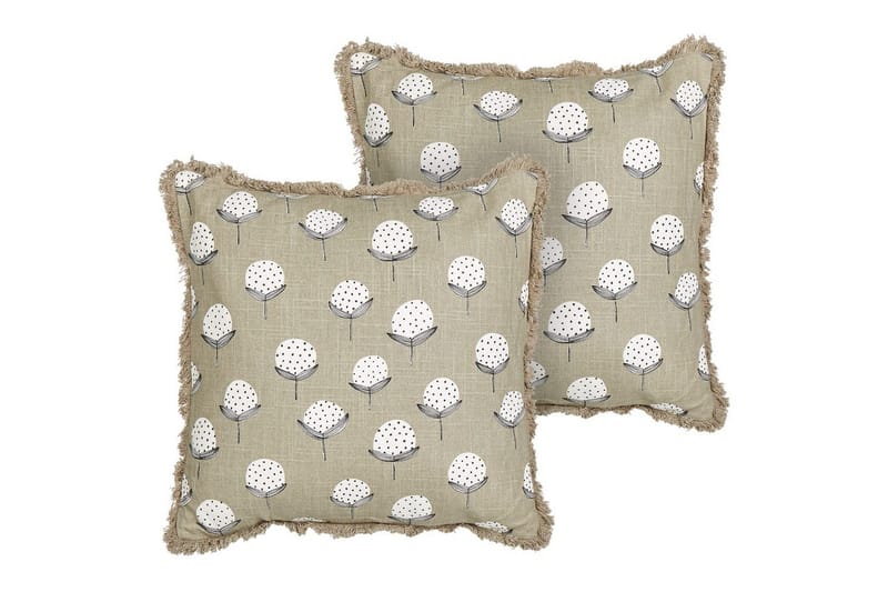 Pynteputer Psilotales sett med 2