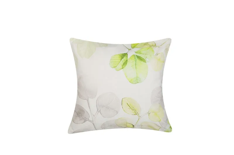 Pynteputer Peperomia