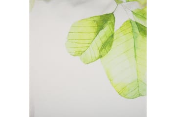 Pynteputer Peperomia sett med 2 - Hagemøbler & utemiljø - Puter - Sofaputer & benkeputer
