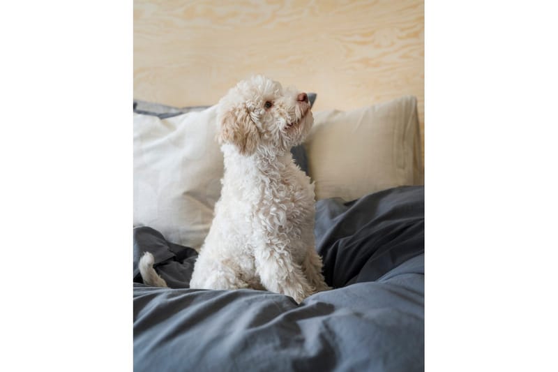 Dynetrekksett Dobbeltseng 3-Dels Percale - Blå - Tekstiler & tepper - Sengetøy - Sengesett