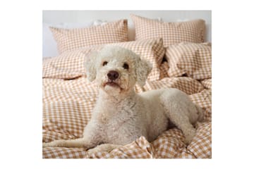 Dynetrekksett Enkeltseng 2-Delers Märta Ruta - Gul - Tekstiler & tepper - Sengetøy