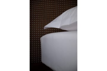 Montert laken Egyptisk Bomull - 120 x 200 cm - Tekstiler & tepper - Sengetøy - Laken - Dra på laken