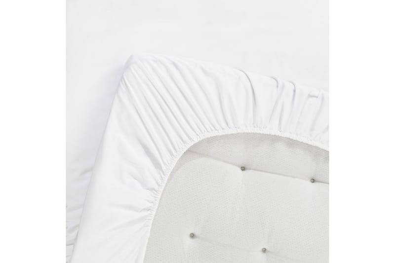 Montert laken Egyptisk Bomull - 160 x 200 cm - Tekstiler & tepper - Sengetøy - Laken - Dra på laken