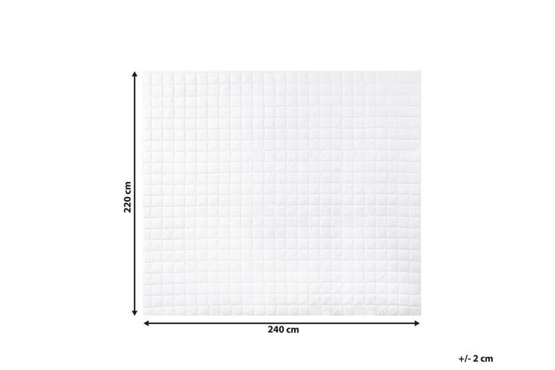 Pledd 220 x 240 cm JANNU - Hvit - Tekstiler & tepper - Sengetøy