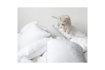 Pute Hotellpute - 65 x 90 cm - Tekstiler & tepper - Sengetøy - Sovepute - Hotellpute & avlang pute