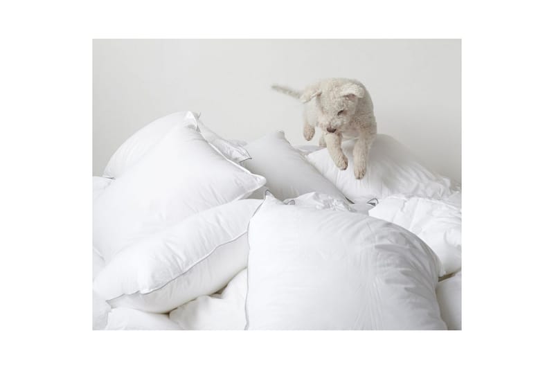 Pute Hotellpute - 65 x 90 cm - Tekstiler & tepper - Sengetøy - Sovepute - Hotellpute & avlang pute