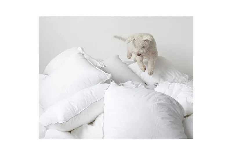 Pute Hotellpute - 65 x 90 cm - Tekstiler & tepper - Sengetøy - Sovepute - Hotellpute & avlang pute