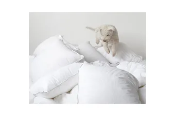 Pute Hotellpute - 65 x 90 cm - Tekstiler & tepper - Sengetøy - Sovepute - Hotellpute & avlang pute