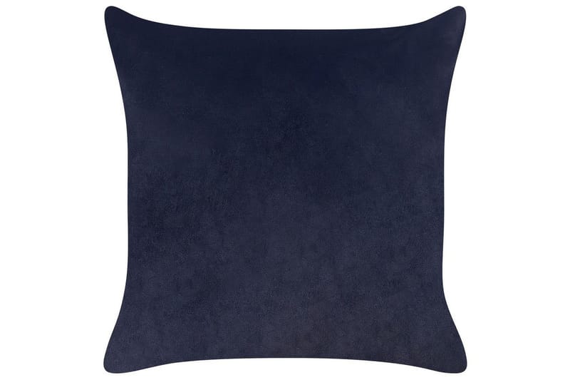 Pynteputer Goldenrod sett á 2 Svart/gull - Svart/gull - Tekstiler & tepper - Sengetøy - Sovepute - Hodepute & innerpute