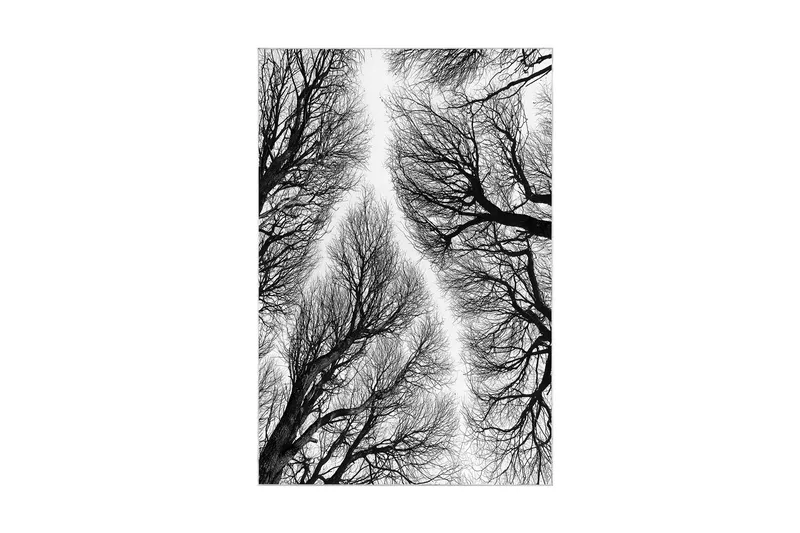 Pamjeet Baderomsmatte 60x150 cm Rektangulær - Flerfarget - Tekstiler & tepper - Teppe & matte - Baderomsmatte