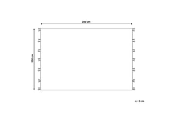 Arzakan Ullteppe 200x300 cm - Rød - Tekstiler & tepper - Teppe & matte - Moderne matte - Ullteppe