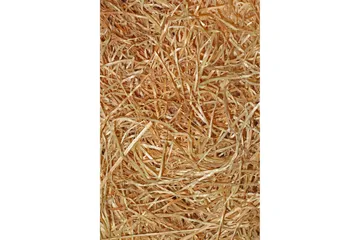 Nobuyuki Gangmatte 80x150 cm Rektangulær - Flerfarget - Tekstiler & tepper - Teppe & matte - Moderne matte - Gangmatter