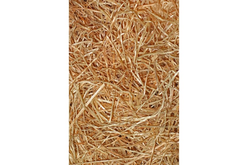 Nobuyuki Gangmatte 80x150 cm Rektangulær - Flerfarget - Tekstiler & tepper - Teppe & matte - Moderne matte - Gangmatter