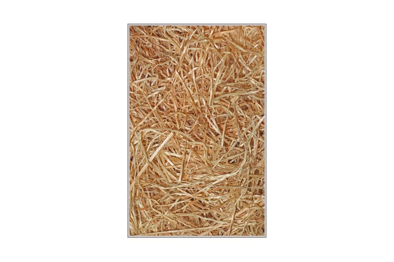 Nobuyuki Gangmatte 80x150 cm Rektangulær - Flerfarget - Tekstiler & tepper - Teppe & matte - Moderne matte - Gangmatter