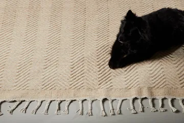 Loke Ullteppe 250x350 cm Rektangulær - Beige - Tekstiler & tepper - Teppe & matte - Moderne matte - Ullteppe