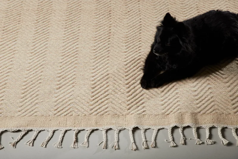 Loke Ullteppe 250x350 cm Rektangulær - Beige - Tekstiler & tepper - Teppe & matte - Moderne matte - Ullteppe