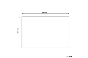 Matte Gesi II - Beige, 200x300 cm - Tekstiler & tepper - Teppe & matte - Moderne matte - Gangmatter