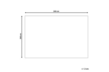 Ryeteppe Calti 200x300 cm - Grønn - Tekstiler & tepper - Teppe & matte - Moderne matte - Ryetepper