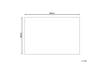 Teppe Aspani - 300x400 cm - Tekstiler & tepper - Teppe & matte - Moderne matte - Friezematte