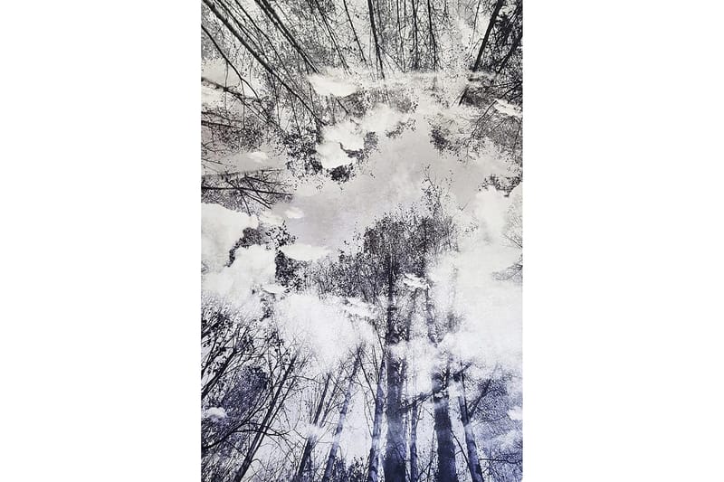 Homefesto Matte 100x150 cm - Multifarget - Tekstiler & tepper - Teppe & matte - Moderne matte - Wiltontepper