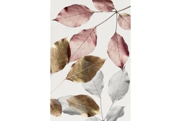 Homefesto Matte 120x180 cm - Multifarget - Tekstiler & tepper - Teppe & matte - Moderne matte - Wiltontepper