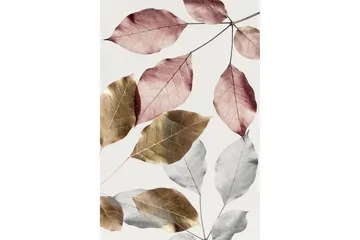 Homefesto Matte 120x180 cm - Multifarget - Tekstiler & tepper - Teppe & matte - Moderne matte - Wiltontepper