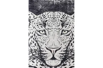 Matte Tiger - Svart - Svart / Fløyel - Tekstiler & tepper - Teppe & matte - Moderne matte - Wiltontepper