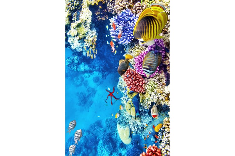 Nobuhiko Wiltonteppe 60x100 cm Rektangulær - Flerfarget - Tekstiler & tepper - Teppe & matte - Moderne matte - Wiltontepper