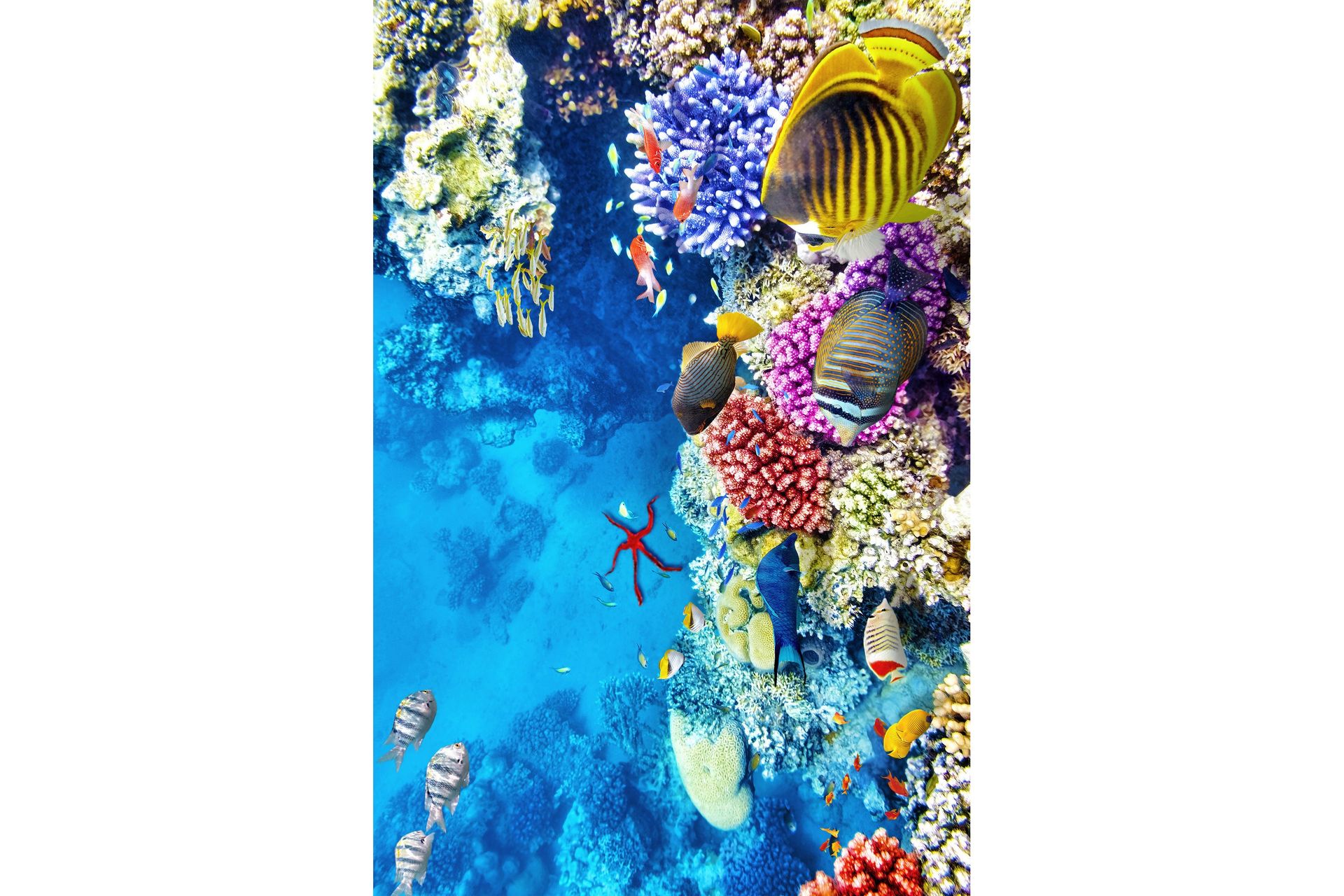 Wiltonteppe Nobuhiko 60x100 cm Rektangulær - Flerfarget - Tekstiler & tepper - Teppe & matte - Moderne matte - Wiltontepper