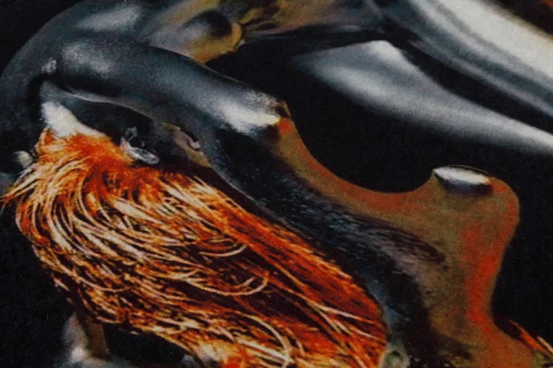 Carpet (100 x 150) Homefesto - Flerfarget - Tekstiler & tepper - Teppe & matte - Orientalske tepper - Persisk matte