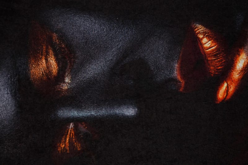 Carpet (100 x 200) Homefesto - Flerfarget - Tekstiler & tepper - Teppe & matte - Orientalske tepper - Persisk matte