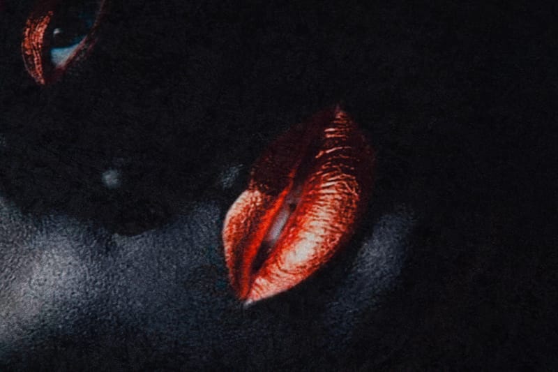 Carpet (100 x 200) Homefesto - Flerfarget - Tekstiler & tepper - Teppe & matte - Orientalske tepper - Persisk matte