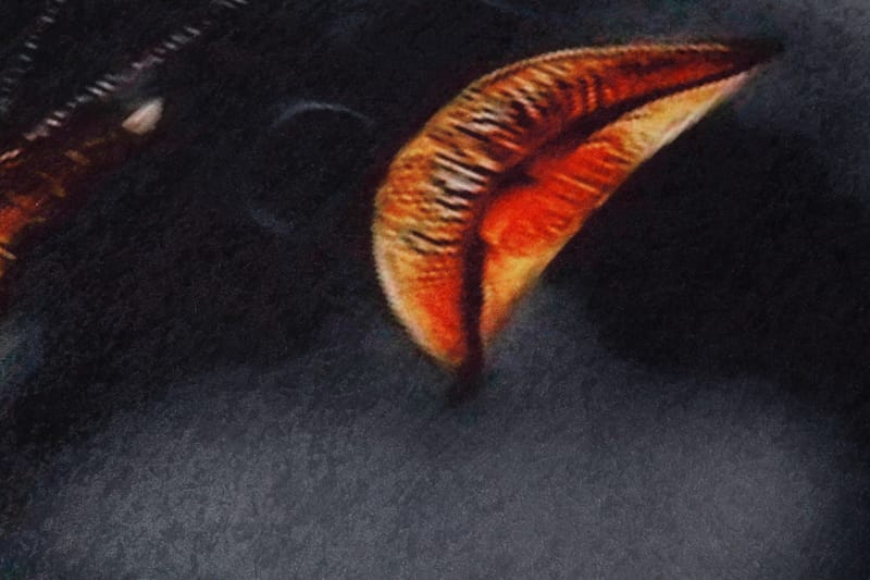 Carpet (120 x 180) Homefesto - Flerfarget - Tekstiler & tepper - Teppe & matte - Orientalske tepper - Persisk matte