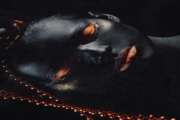 Carpet (120 x 180) Homefesto - Flerfarget - Tekstiler & tepper - Teppe & matte - Orientalske tepper - Persisk matte