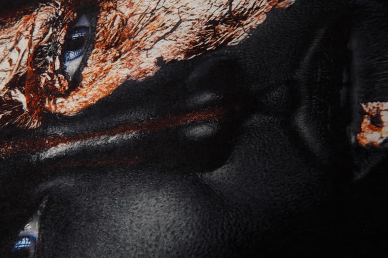 Carpet (160 x 230) Homefesto - Flerfarget - Tekstiler & tepper - Teppe & matte - Orientalske tepper - Persisk matte