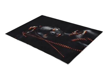 Carpet (160 x 230) Homefesto - Flerfarget - Tekstiler & tepper - Teppe & matte - Orientalske tepper - Persisk matte